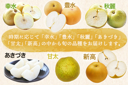 大高フルーツの旬の梨(幸水/豊水/秋麗/あきづき/甘太/新高)★約3kg(5-12玉前後) 予約受付中 フルーツ 秋 旬★熊本県玉名郡玉東町 《8月中旬-10月上旬頃出荷》｜ブランド梨 人気梨 特産品梨 熊本県梨 玉東町梨 大人気返礼品 