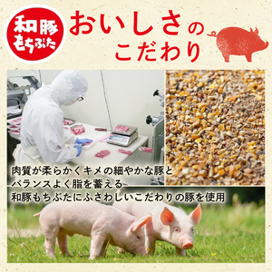 豚  和豚 もちぶた きりおとし  1.6kg 　切落し 切り落し きりおとし 国産 豚肉  katayama004_01