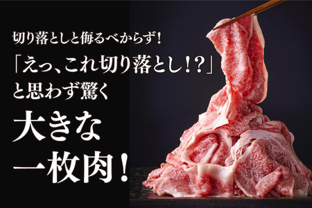 艶さし!【A4～A5】佐賀牛大判霜降り贅沢切り落とし 1kg(250g×4P)(H112342)