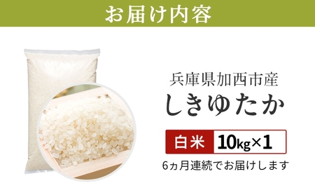 定期便【令和8年 先行受付】しきゆたか 白米 10kg 6か月連続お届け