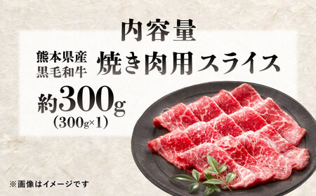 熊本県産 『原田畜産』 黒毛和牛 焼き肉用 スライス 約300g 牛肉 牛 【有限会社 九州食肉産業】[AYCN153]