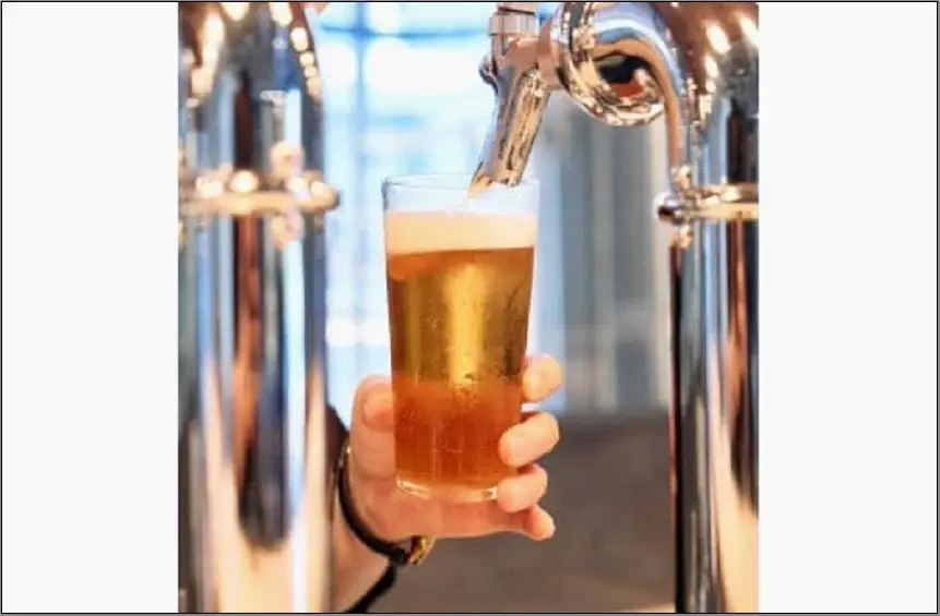 【ギフト箱】姪浜ブルワリー クラフトビール 330ml 3本セット 3種飲み比べ