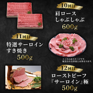 近江牛をまるっと1年お楽しみ【500,000円】（12回定期便）sen15