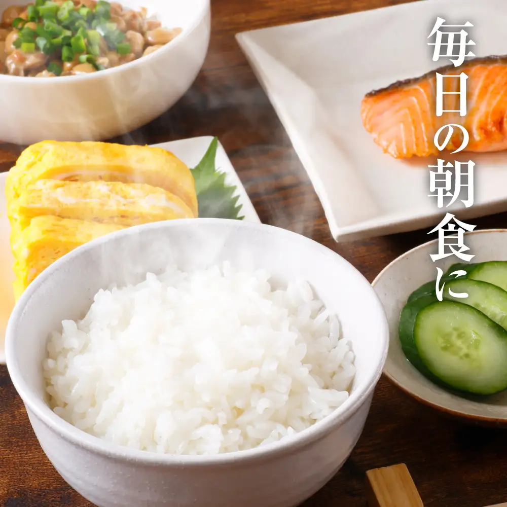 【令和7年産】 熊本県産 森のくまさん 5kg (5kg×1袋) オリジナルパッケージ 米 お米 精米 白米 ごはん ご飯 熊本