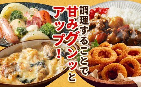 北海道名寄産 玉ねぎ 10kg 秀品  Lサイズ