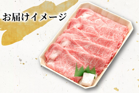 【最短発送】 飛騨牛 ロースまたは肩ロース すき焼き・しゃぶしゃぶ用 500g ロース カタロース 肩ロース 牛肉 和牛 肉 すき焼き しゃぶしゃぶ 東白川村 岐阜 贅沢 霜降り 鍋 養老ミート