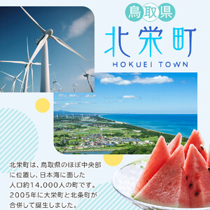 744.【2026年お歳暮　のし付】【先行予約】【ＪＡ】ねばりっこ　秀3Ｌ×2本　※着日指定不可　※離島への配送不可　※順次発送予定