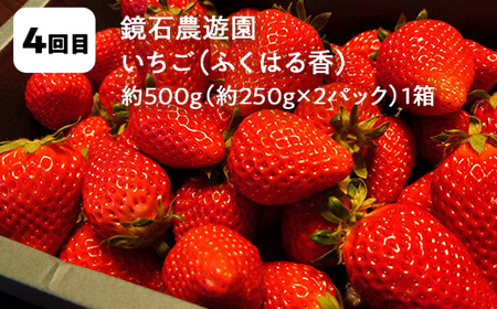 【2026年から発送開始】鏡石町 まきばのフルーツ定期便（桃2kg・和梨3kg・りんご5kg・いちご500g）モモ もも ナシ なし リンゴ イチゴ 苺 福島県 鏡石町  F6Q-391