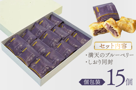 お菓子 個包装 満天のブルーベリー 15個入 [谷口製菓 石川県 宝達志水町 38601294] 