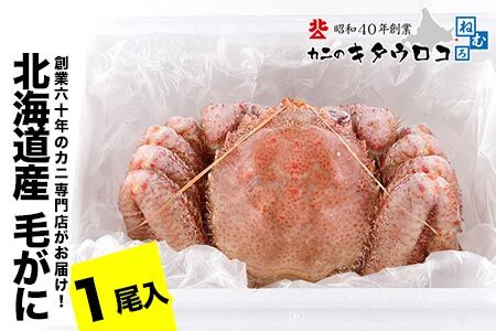毛がに550g～650g前後×1尾 B-25027