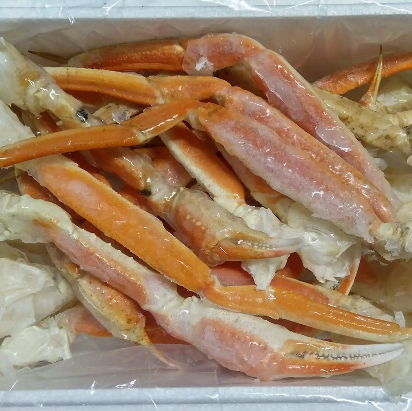 本ズワイガニ肩肉付バラ足16～28本(計900g前後) C-57061