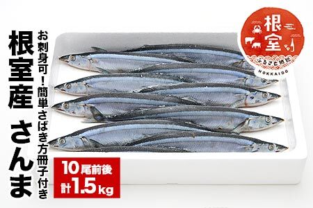 【北海道根室産】【生食可】さんま10尾前後入（計1.5kg） G-58001