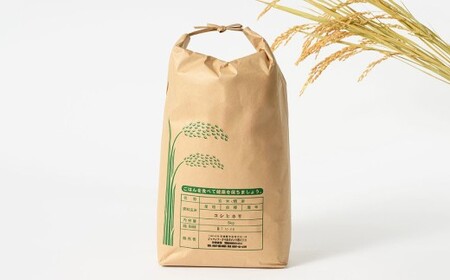 【令和7年産】茨城県産コシヒカリ 5kg	米 お米 おこめ コメ 白米 精米 ご飯 ごはん コシヒカリ こしひかり 茨城県 守谷市
