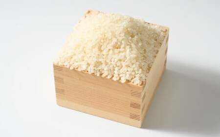 【令和7年産】茨城県産にじのきらめき 5kg	米 お米 おこめ コメ 白米 精米 ご飯 ごはん にじのきらめき 茨城県 守谷市