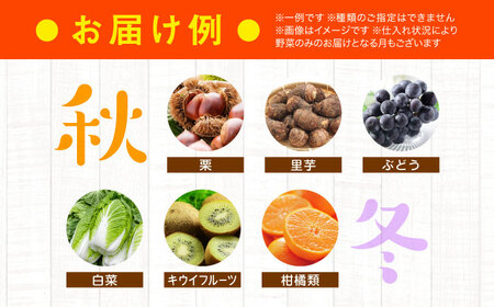  野菜 定期便【全12回】（8種以上） 野菜 セット[AGAP011]