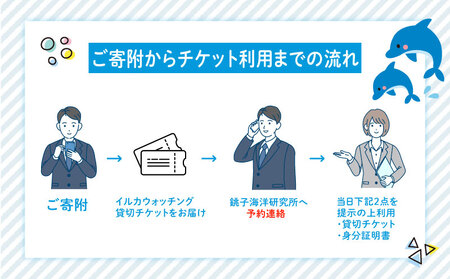 イルカウォッチング