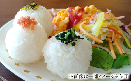 【全3回定期便】令和7年産 こしひかり 無洗米 5kg / お米 ふるさと納税 A評価 / 佐賀県 / 大塚米穀店 [41ANAD042]