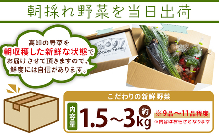 こだわりの新鮮野菜 ３回定期 Waf-0003