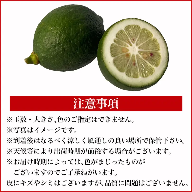『先行予約』【令和8年11月より順次発送】皮ごと食べる マイヤーレモン 1.5kg