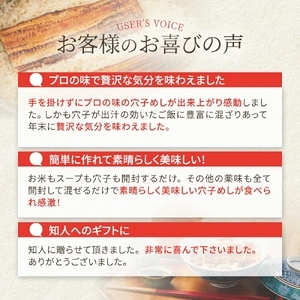 〈贈答用/風呂敷包〉ごちそう穴子めし【2合セット】+出汁茶漬け付 | AN010-gift