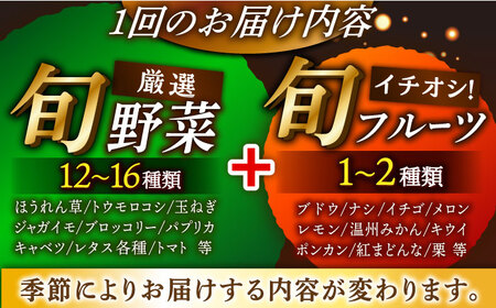 【全12回】 野菜×果物 定期便（11〜14種）果物 フルーツ[AGBX008]