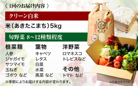 お米 定期便【全12回 】お米 5kg+旬野菜 セット[AGBX011]
