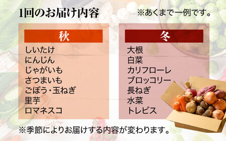 野菜定期便【全12回】野菜（12-16種） [AGBX005]