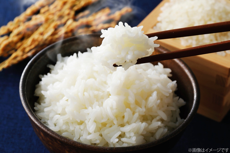米 令和7年 長野県産 コシヒカリ 5kg（無洗米） [大北農業協同組合 長野県 池田町 48110834] 