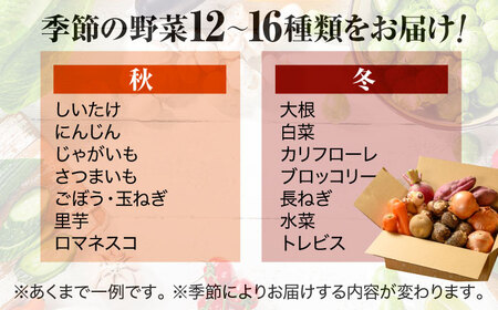 野菜セット（12-16種）野菜 詰め合わせ [AGBX003]