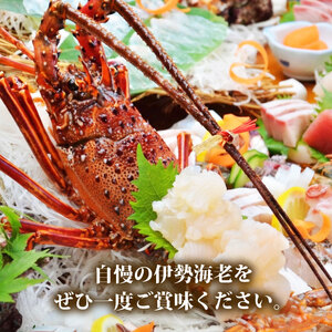 冷凍 伊勢海老 2~3尾 約500g 訳あり伊勢海老