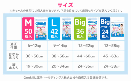おむつ あんしんGenki！ふわもちタッチ パンツ タイプ L・Bigセット 赤ちゃん ベビー 子供