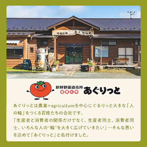 【角田市産秘伝豆使用】ずんだレアチーズケーキと秘伝豆入りカッサータのセット【あぐりっと】