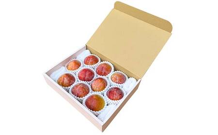 ≪先行予約令和8年度発送≫ 山形県産 大きめサイズのすもも秋姫 1.5kg 秀品 贈答品 FSY-2649