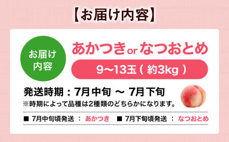 桃（約3kg）桃 もも[AGBD006]