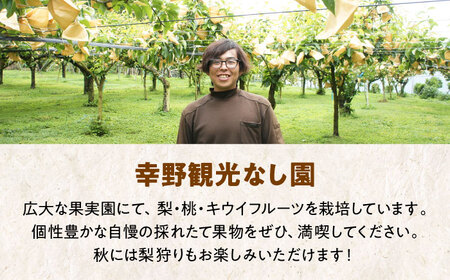 梨【9月上旬から順次発送】特選 豊水 梨2kg（5個から7個入り）[AGBD005]