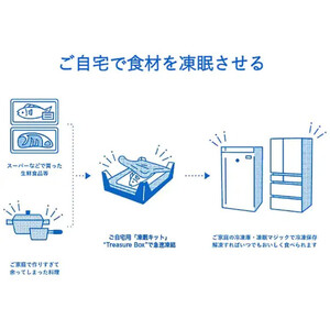 液体凍結キット Treasure Box（トレジャーボックス） ALS0004