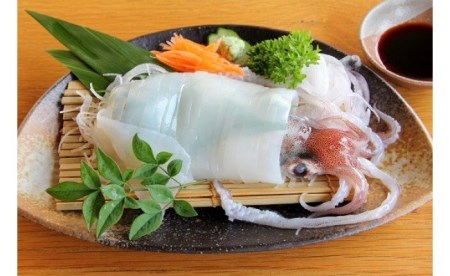 【便利な個包装】高級朝どれ白いか丸ごと3本セット【ぜひお刺身で！】｜イカ 剣先イカ 烏賊 母の日 父の日