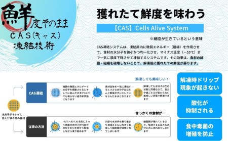 濃厚な旨味！旬の寒シマメ（スルメイカ）しゃきしゃき漬け80g×6個（480g）＜天然醸造醤油使用＞母の日 父の日