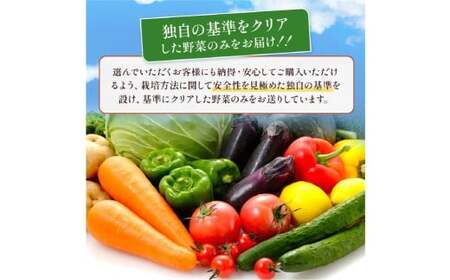 【 6ヶ月 連続 定期便 】 熊本県 10品目 野菜 セット 6ヶ月 定期便 フレッシュ 新鮮 野菜 青果 サラダ おまかせ お任せ 厳選 お楽しみ ランダム 冷蔵