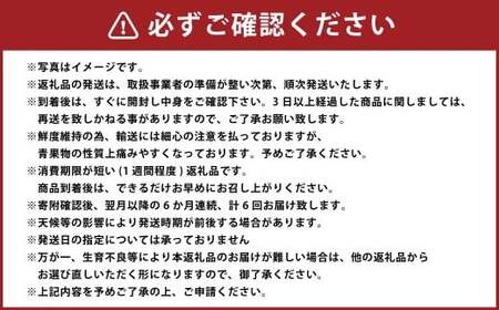 【 6か月 連続 定期便 】 熊本県 フルーツ 6ヶ月 定期便 果物 くだもの 旬 いちご 柑橘 スイカ メロン 柿 梨