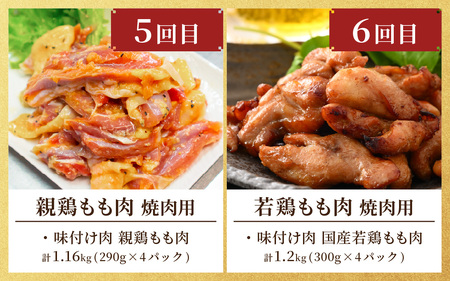 【6ヶ月定期便】前田かしわ店 鶏 牛ホルモン おすすめセット [H-019001]
