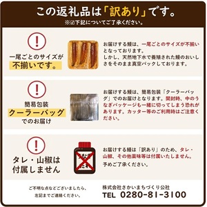 〈最短翌日発送〉【訳あり】 うなぎ 蒲焼き 5尾 700g以上 うなぎ K2672