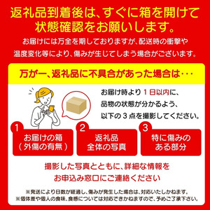 いちご 1kg 紅ほっぺ いちご