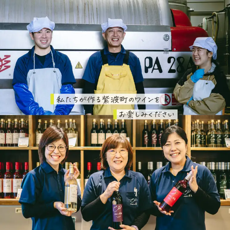 自園自醸ワイン紫波 甘口５本セット 甘口 セット 飲み比べ ワイン (AL109)