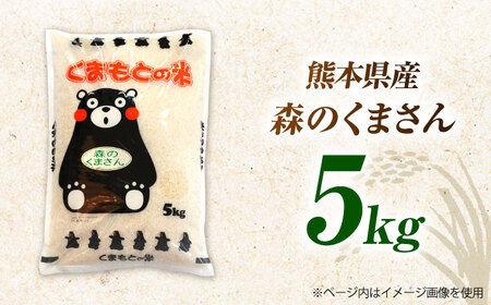 令和7年産森のくまさん白米5kg 熊本白米ZBI032