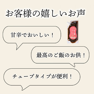 ヒロツク お手軽チューブ海苔めんたい200g×3袋