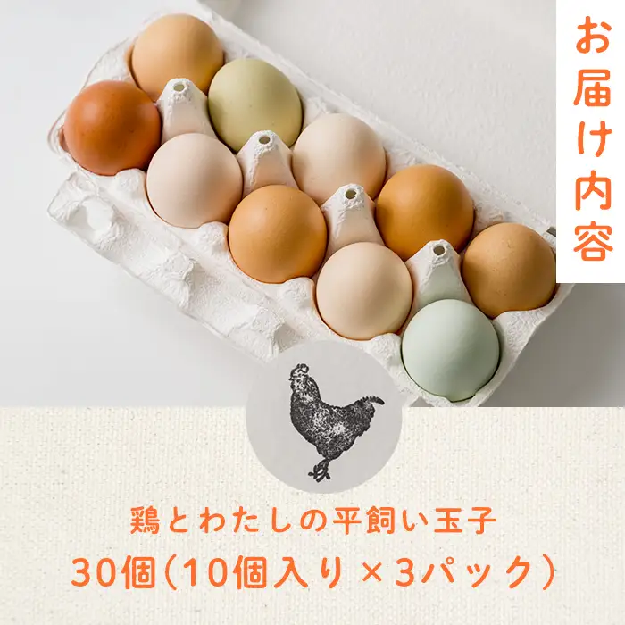 鶏とわたしの平飼い玉子 30個(10個入り×3パック) たまご 卵 卵焼き 生卵 ゆで卵 卵かけごはん 鶏卵 鶏 平飼い 【鶏とわたし】tm545