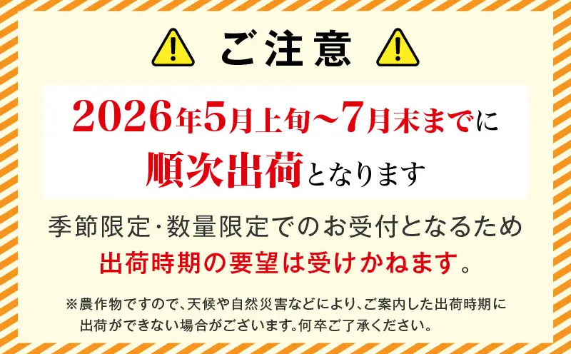 訳あり 宮崎県産 完熟マンゴー 合計約1.5kg（3～5玉）