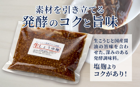 【国産生麹使用】 発酵調味料 4点セット 塩麹・麦塩麹・醤油麹・玉ねぎ塩麹 各200〜250g
