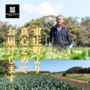 東庄町産　コシヒカリ　精米　5kg / 米 こめ コメ お米 おこめ コシヒカリ こしひかり 令和7年 白米 精米 ごはん 5kg 千葉県 東庄町 送料無料